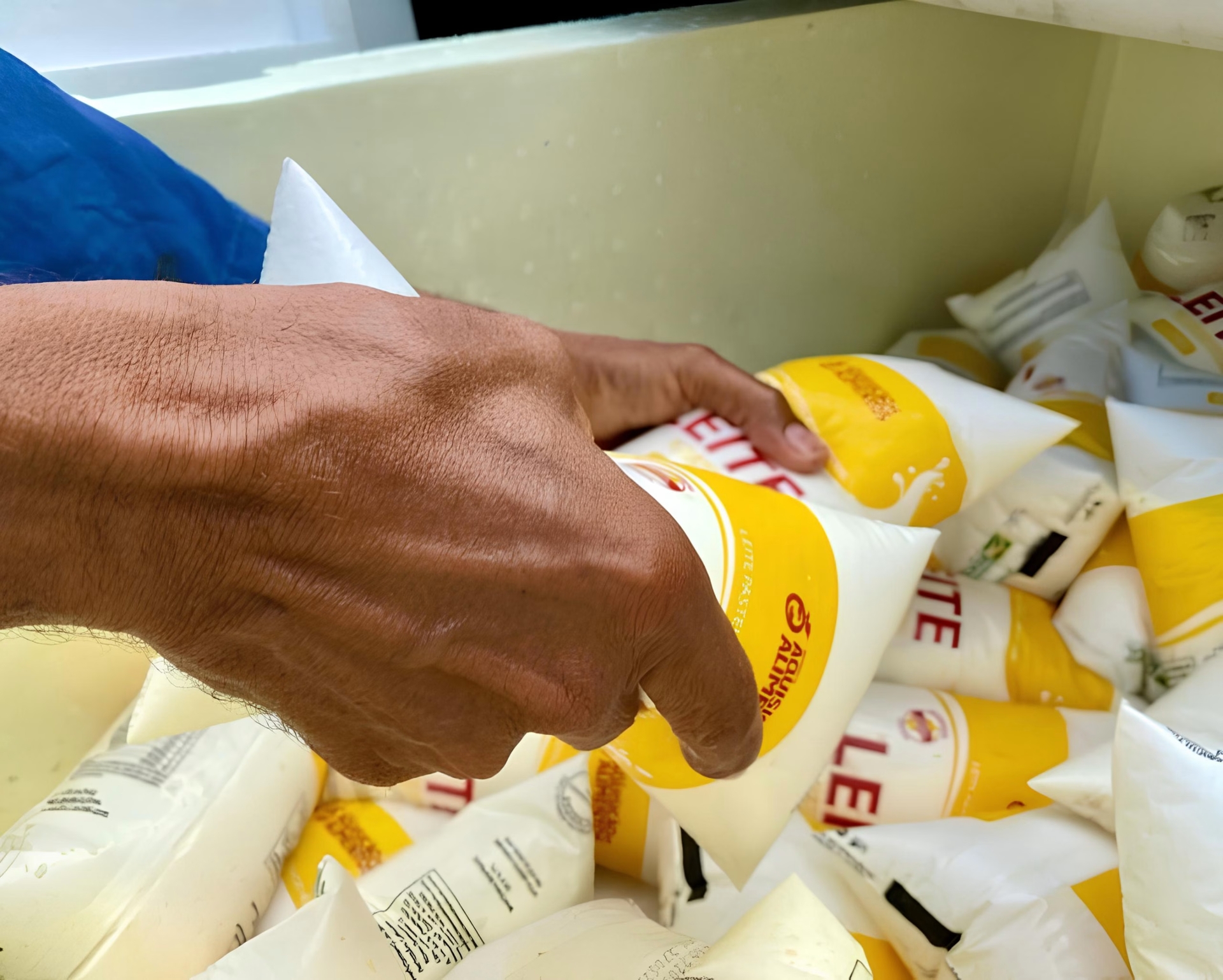 Retorno do Programa Leite beneficia famílias em Penedo