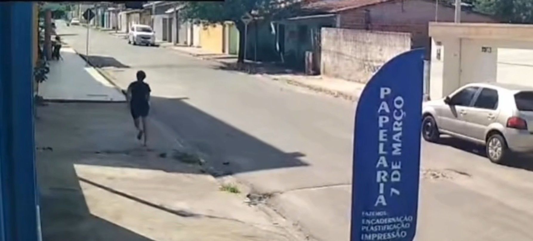 Pitbull ataca e mata pinscher em Arapiraca; tutor pode ser responsabilizado