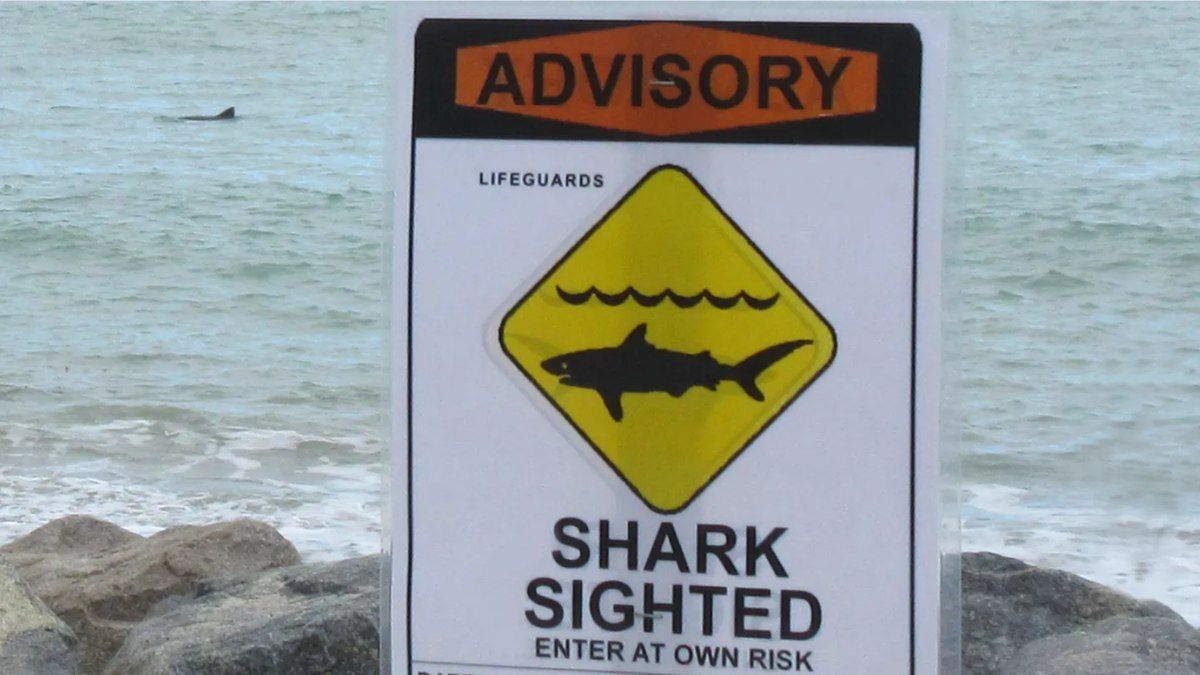 Praia evacuada após ataque de tubarão na Flórida