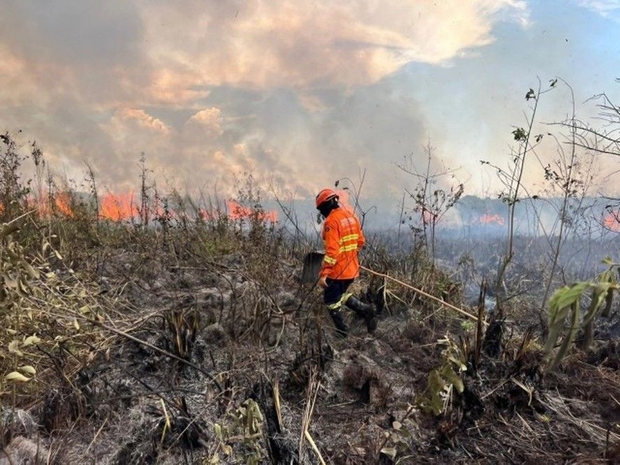 'O incêndio no Pantanal voltou': cientista faz alerta após registro de chamas no bioma, ameaçado por calor intenso