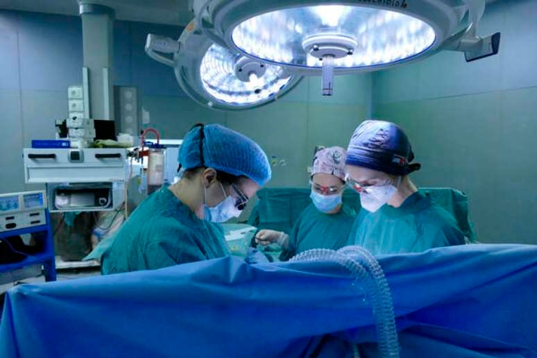 Itália bate recordes de transplantes e doações de órgãos em 2023