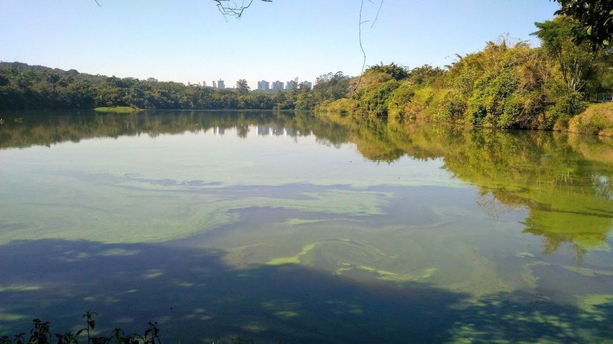 Século de Poluição por Metais na Lagoa das Garças
