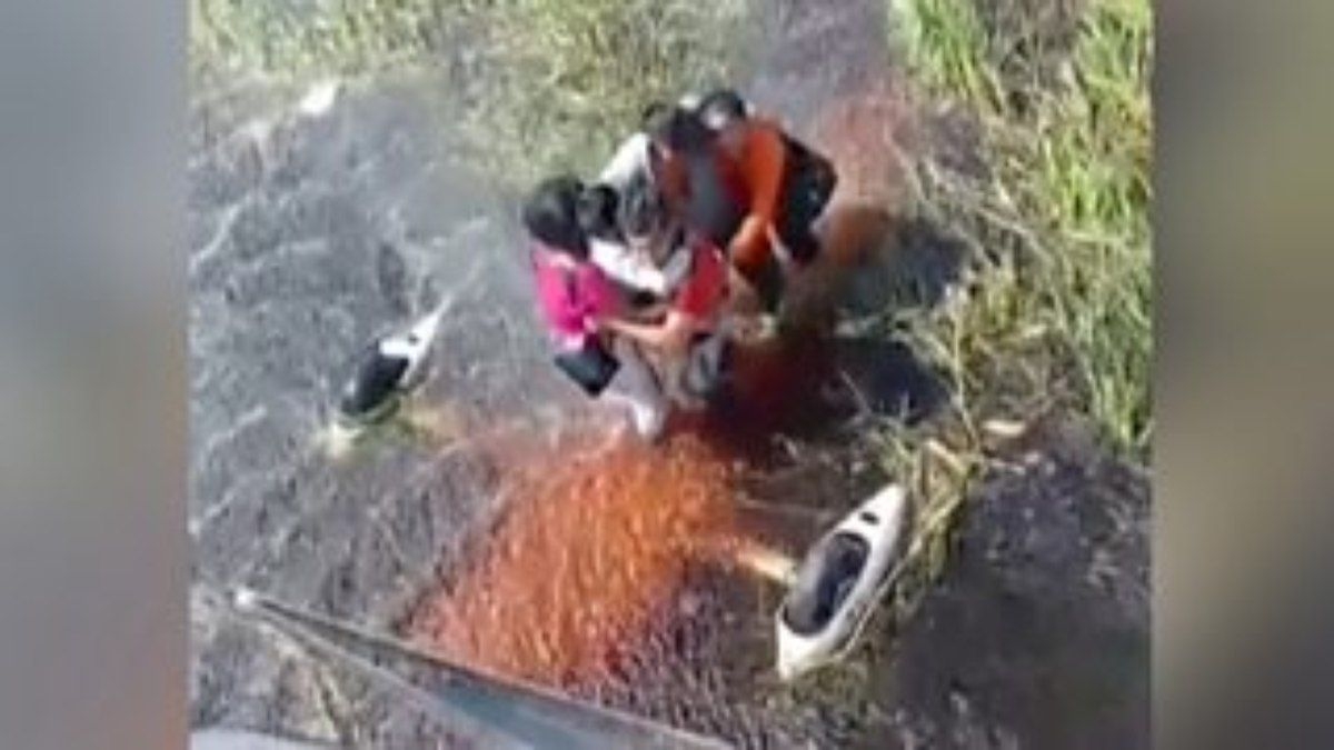 Sobreviventes de acidente aéreo enfrentam jacarés na Bolívia