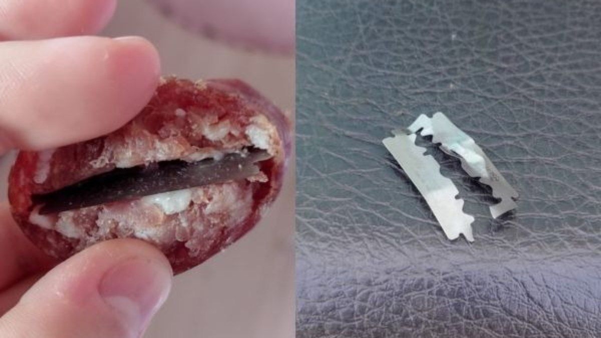 Investigação de maus-tratos a animais em SC