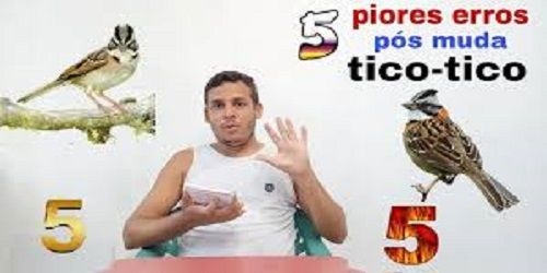 O Buraco de Cada Um