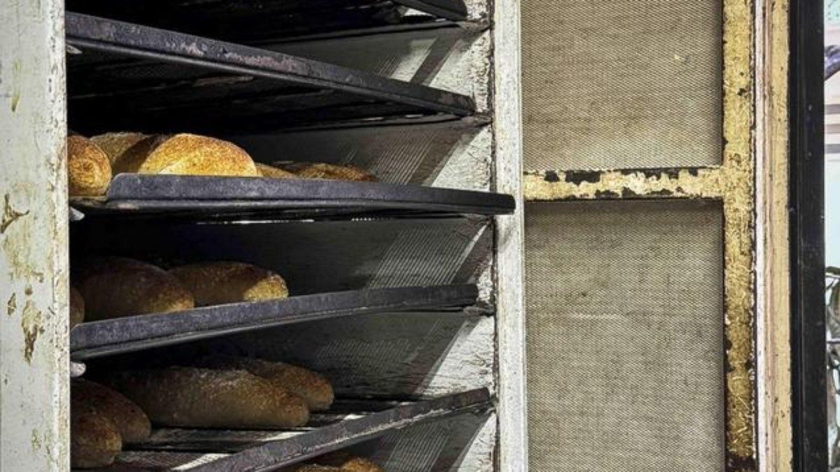 Interdição de padaria em Porto Alegre por infestação