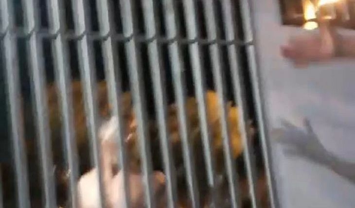 Armado com dois facões, homem tenta invadir bar em Major Izidoro