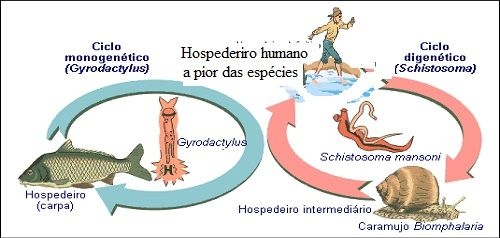 A geração que não estuda nem trabalha