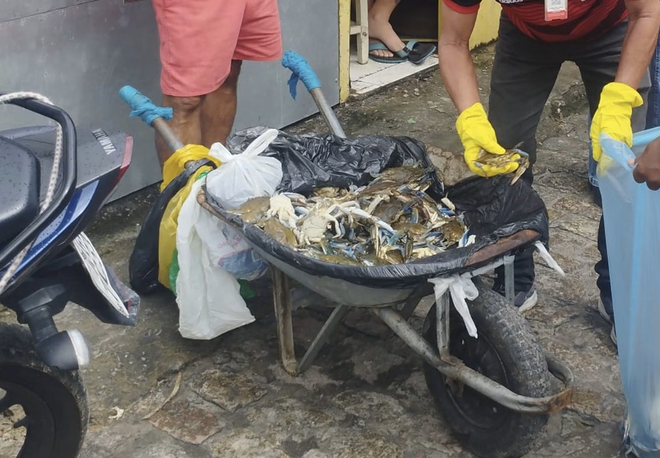 Prefeitura de Penedo apreende pescados impróprios na feira livre