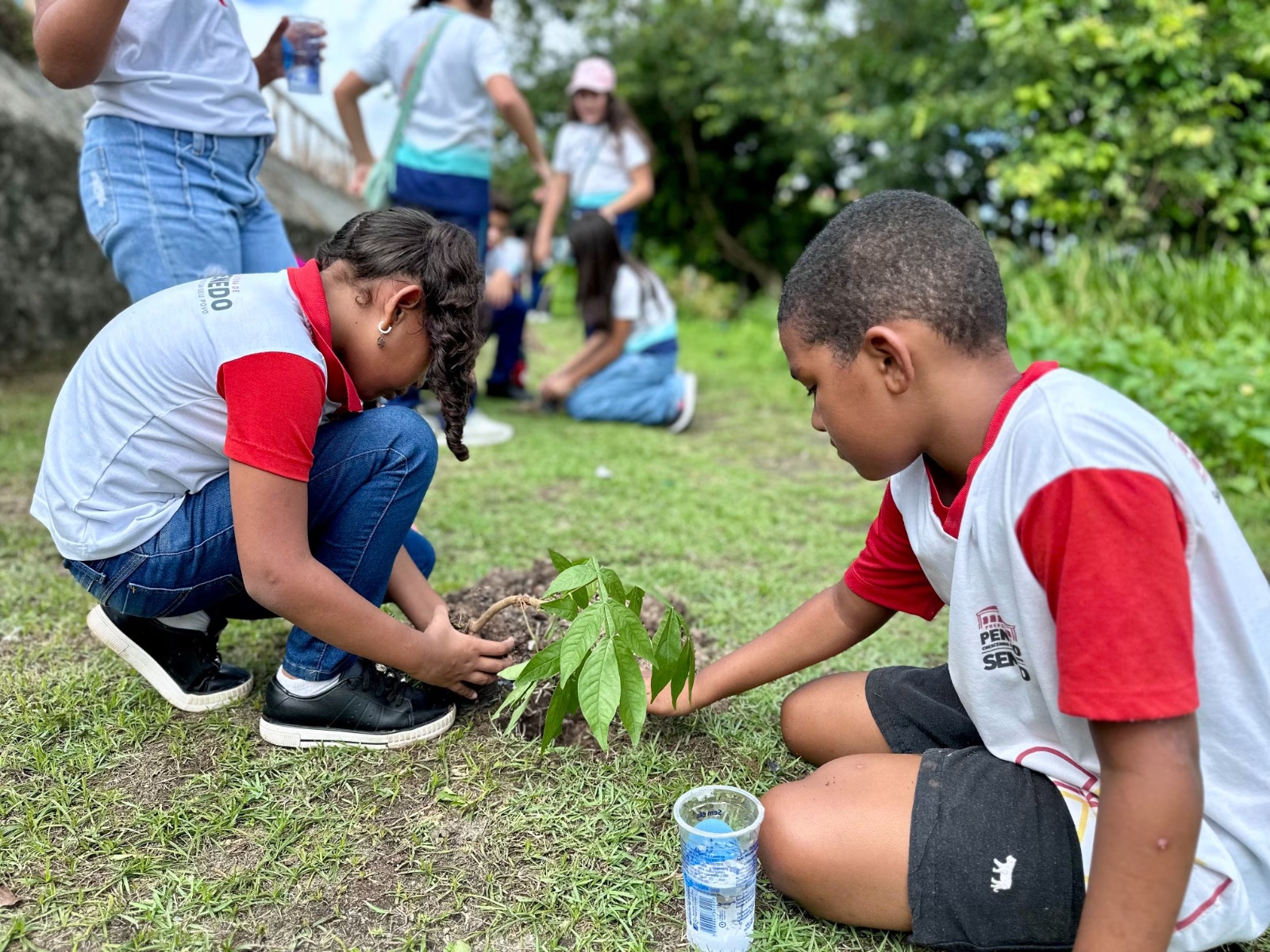 Ações educativas marcam o Dia Mundial do Meio Ambiente
