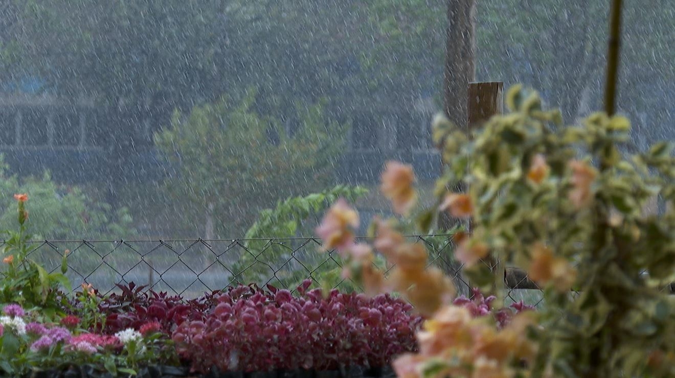 Primavera em Alagoas trará chuvas e calor moderado