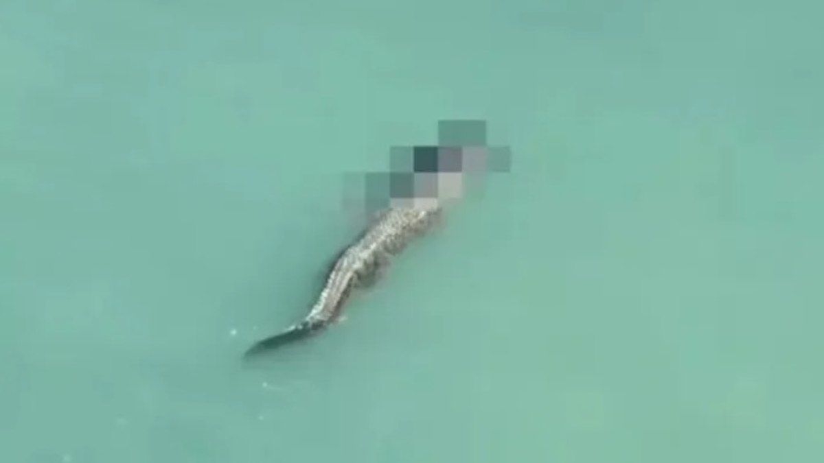 Crocodilo Ataca e Mata Homem em Praia da Indonésia