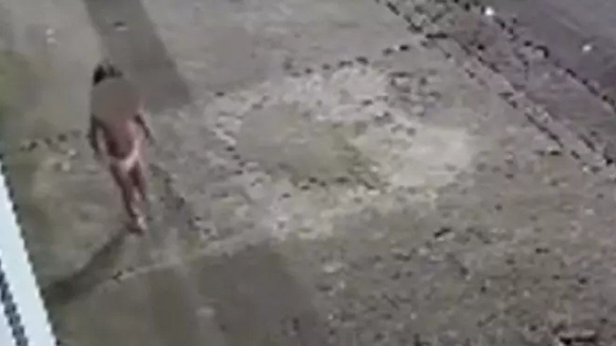 Menina de 3 anos é resgatada sozinha na rua