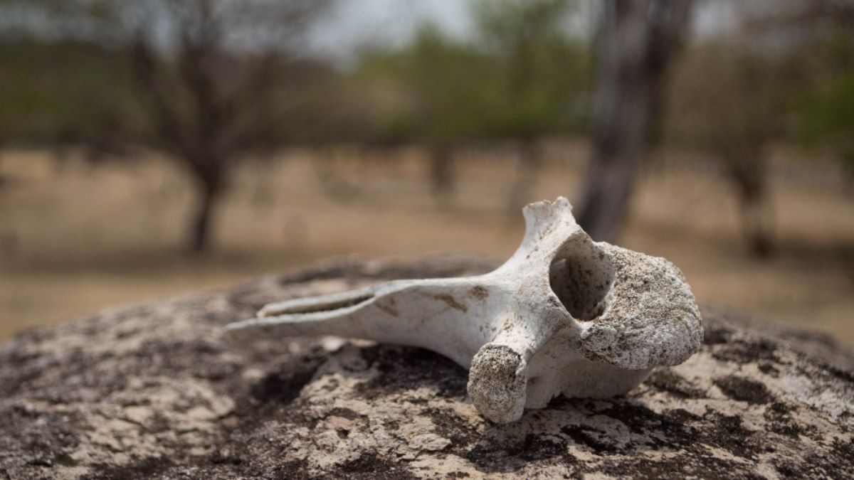 Descoberta de Sacrifício Humano com 3000 Anos no Peru