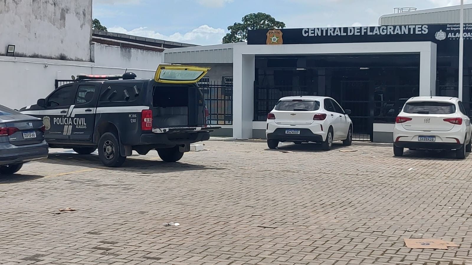 Mulher presa por deixar cães trancados em carro