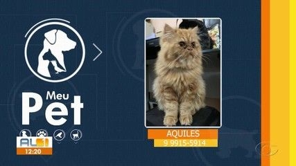 Encontro com Empreendedores Alagoanos acontece hoje em Alagoas