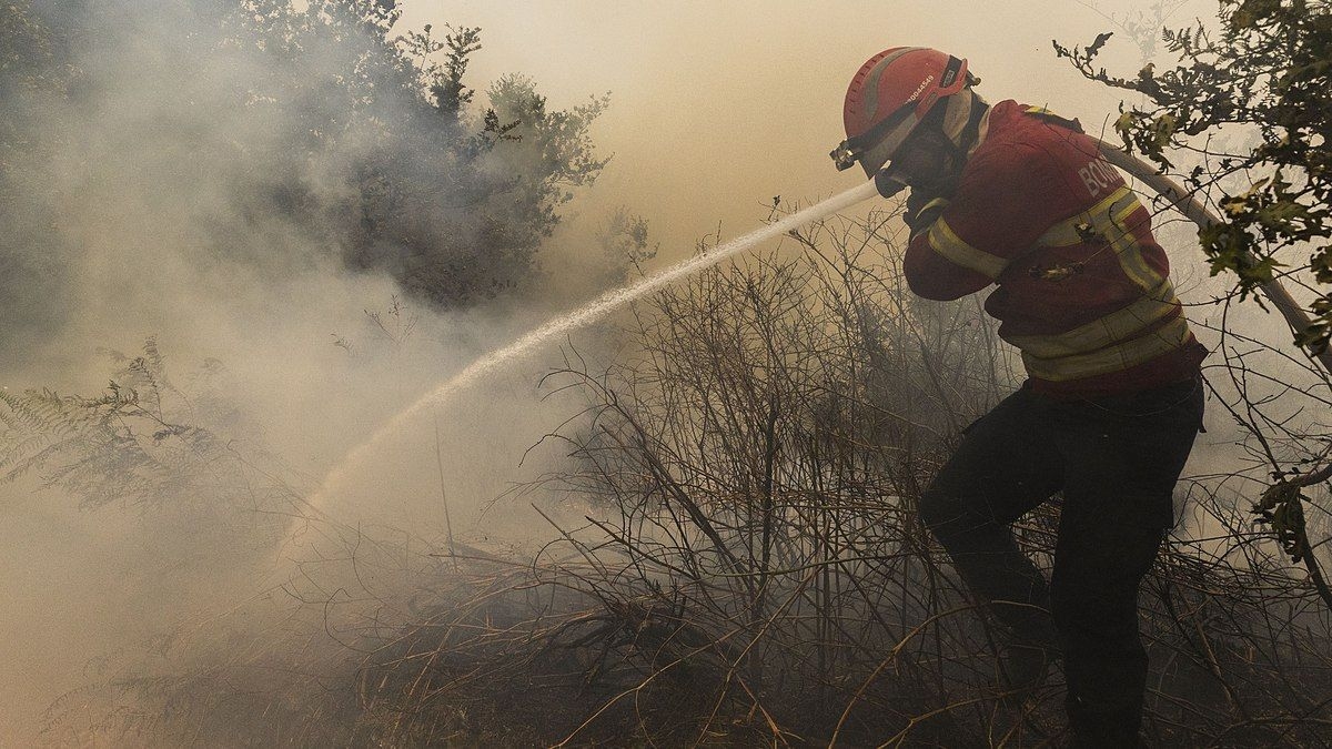 Alerta da Defesa Civil de SP para ventos fortes
