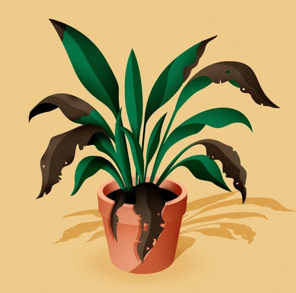 Transformações Moleculares e a Crise da Ética Social