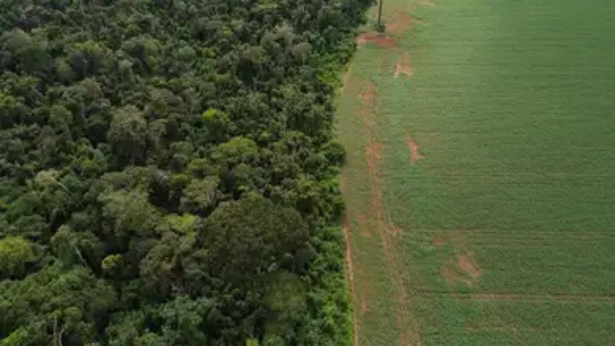 Vetos ao Licenciamento Ambiental geram Debate e Polêmica