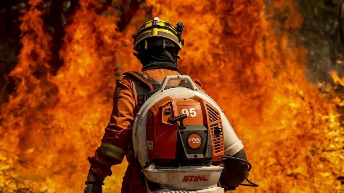 Câmara aumenta pena para incêndio florestal