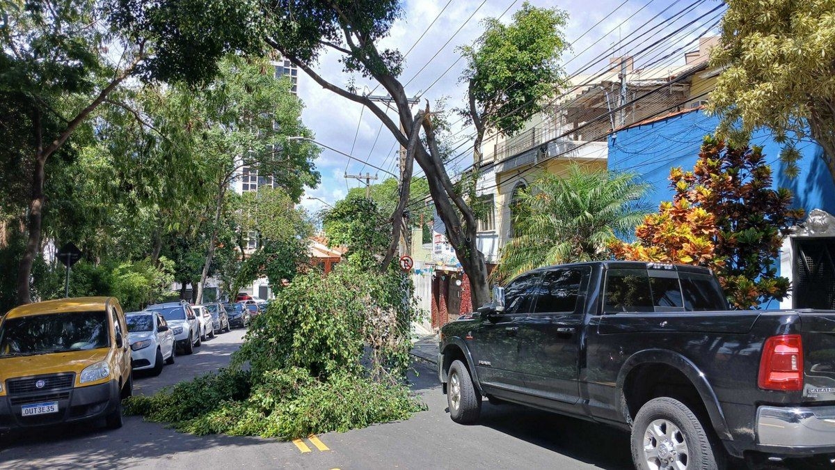 Milhares ficam sem luz após ciclone em São Paulo