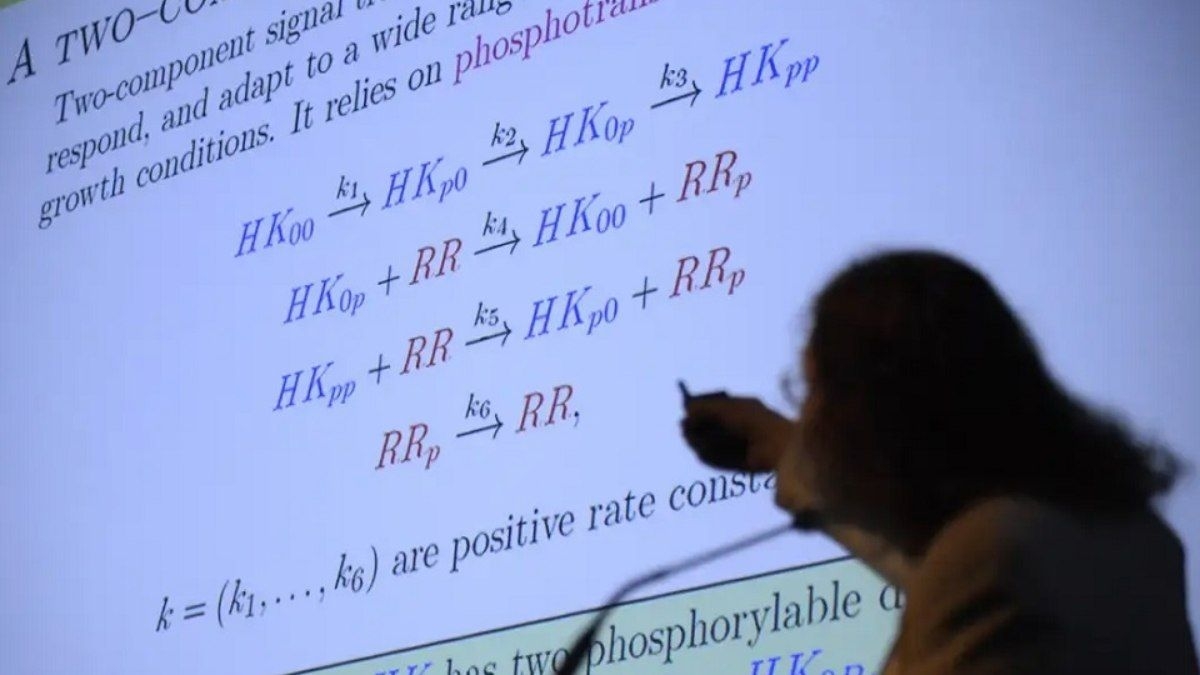 Superando o medo da matemática e arrasando nos concursos