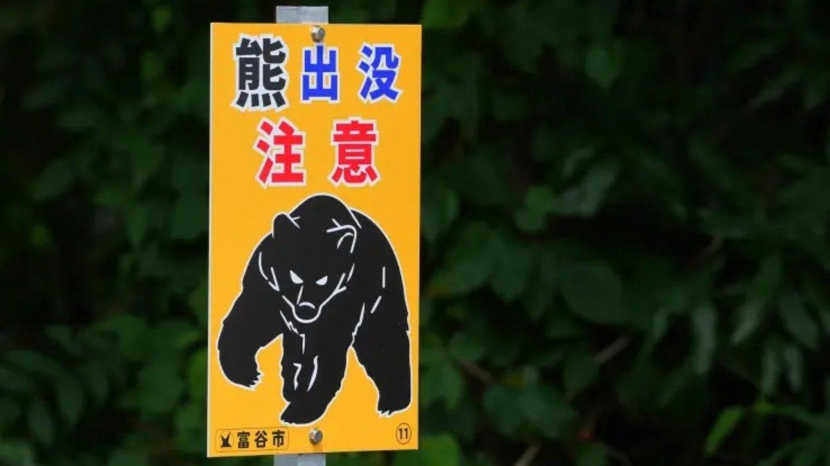 Filho é preso após confusão com ataque de urso