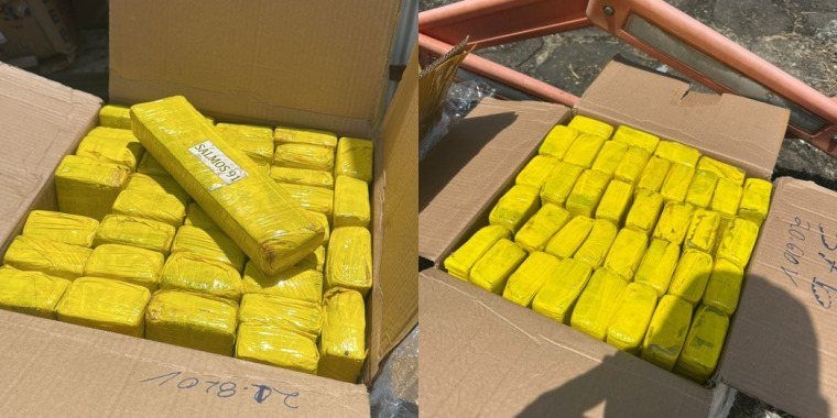 Polícia apreende quase 1 tonelada de maconha em Alagoas