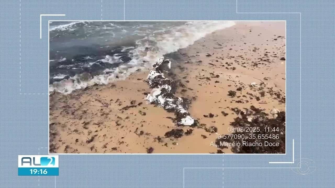 Sacos plásticos na Praia de Riacho Doce em Maceió