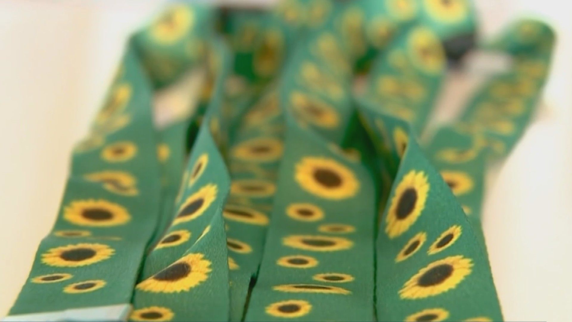 Símbolo de girassol na Carteira de Identidade em AL