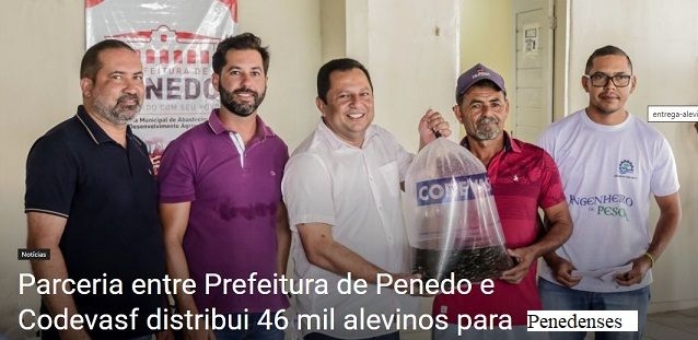 Parceria entre Prefeitura de Penedo e Codevasf distribui 46 mil alevinos para piscicultores de baixa renda