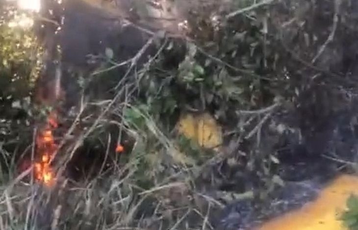 Vídeo: PC investiga queda de avião agrícola em região de mata, em Campo Alegre