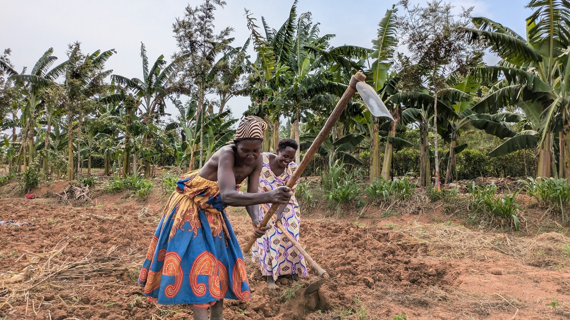Projeto de Agricultura em Uganda Combate Fome e Clima