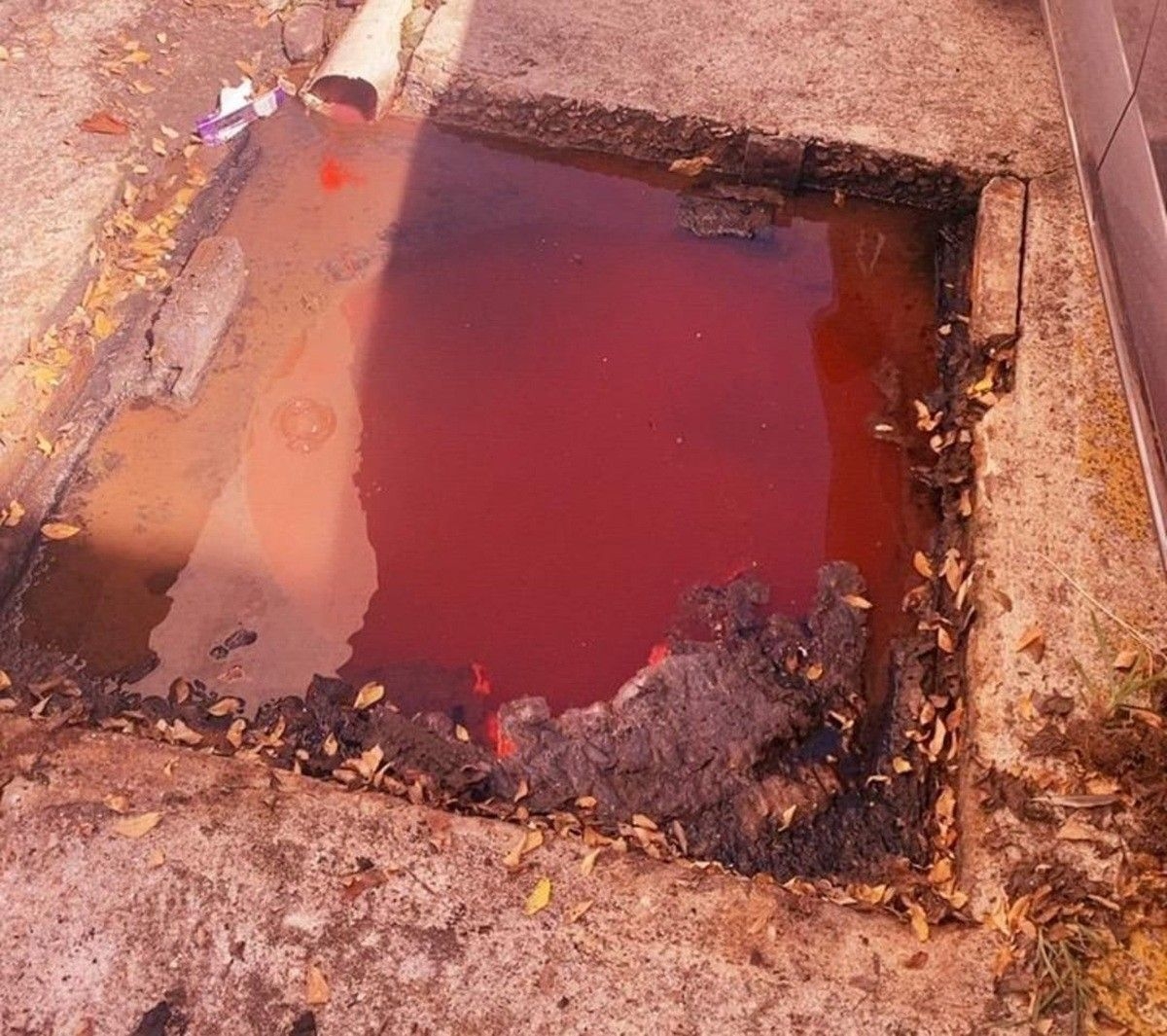 Síndico de condomínio é preso por crime ambiental em Maceió