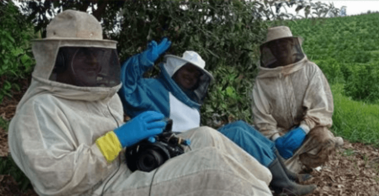 Repórter da Band é atacada por abelhas durante reportagem