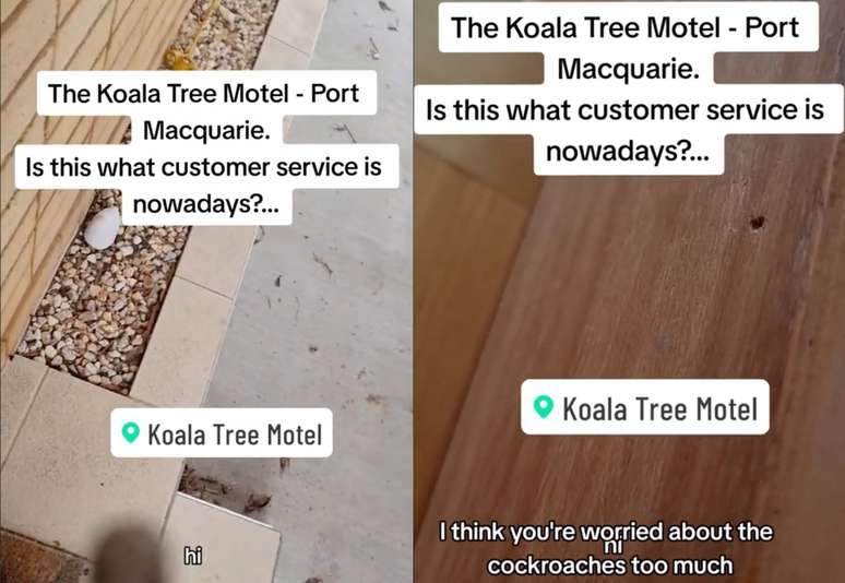 Mulher encontra 6 baratas em quarto de hotel e resposta do estabelecimento viraliza; veja