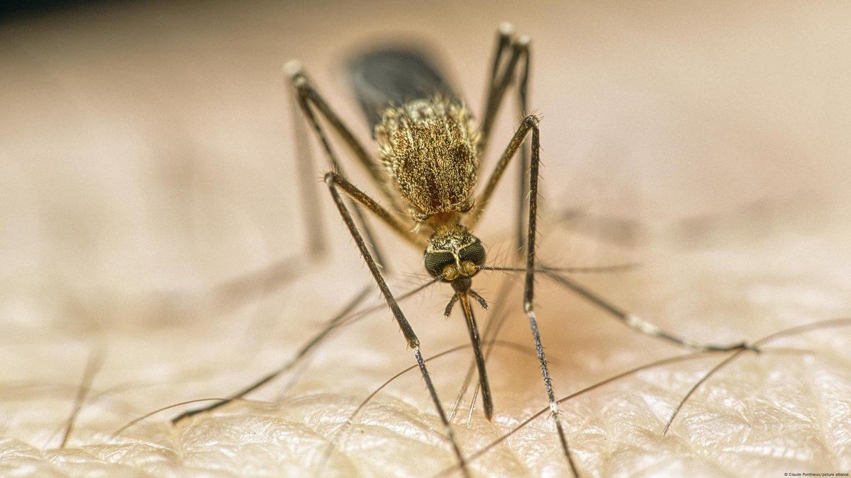 Mudanças climáticas provocam doenças graves na população