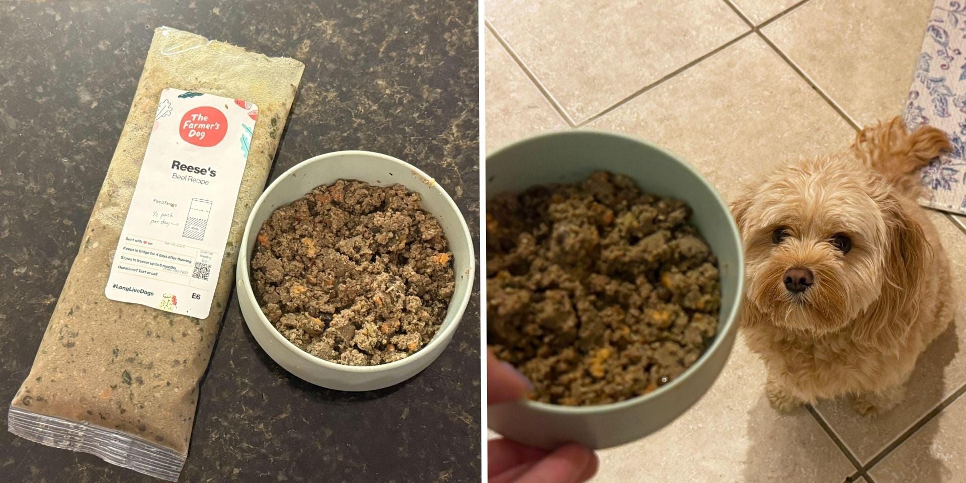 The Farmer's Dog é uma Opção Acessível para Cães