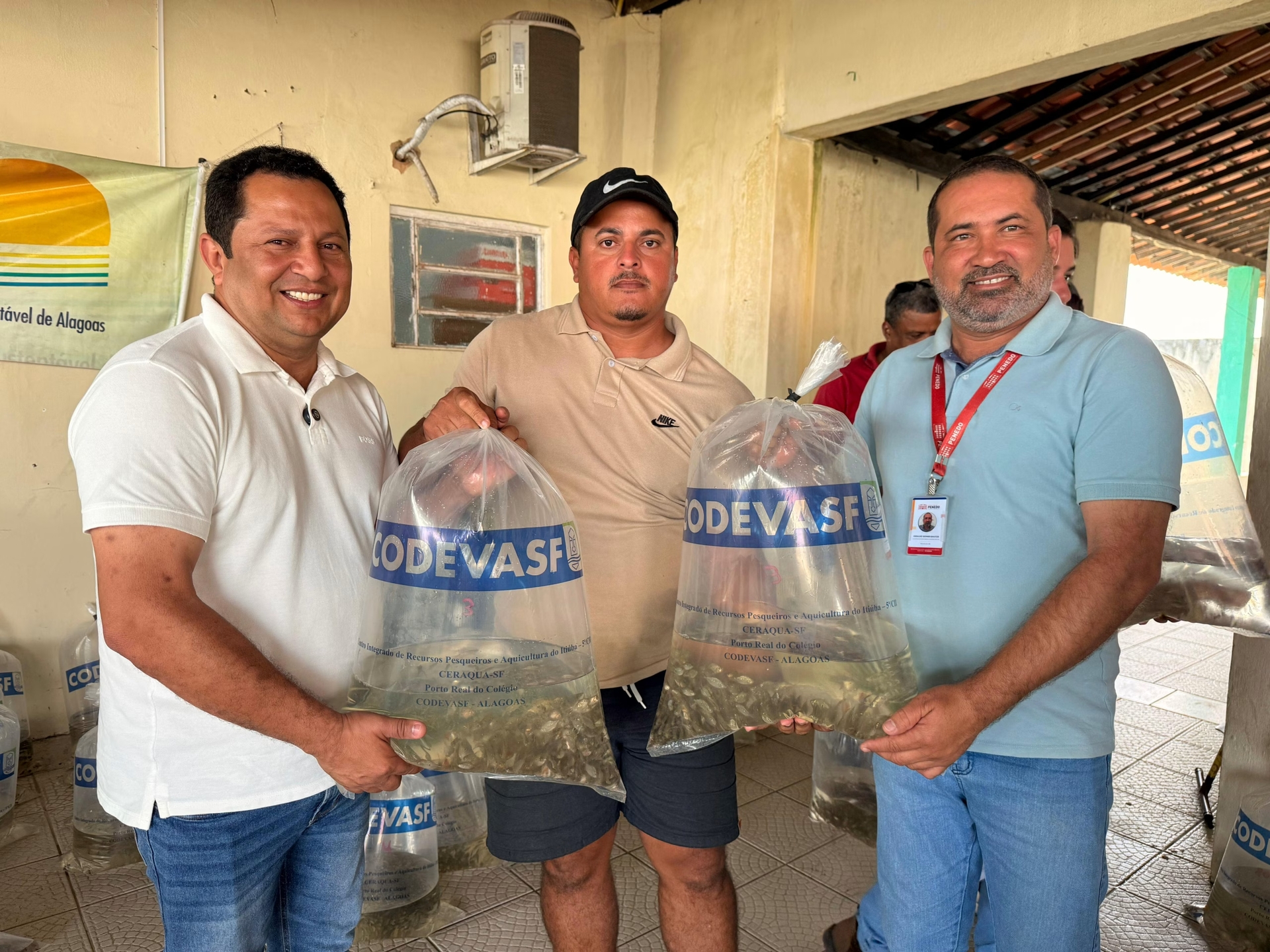 Penedo distribui 160 mil alevinos para agricultores familiares