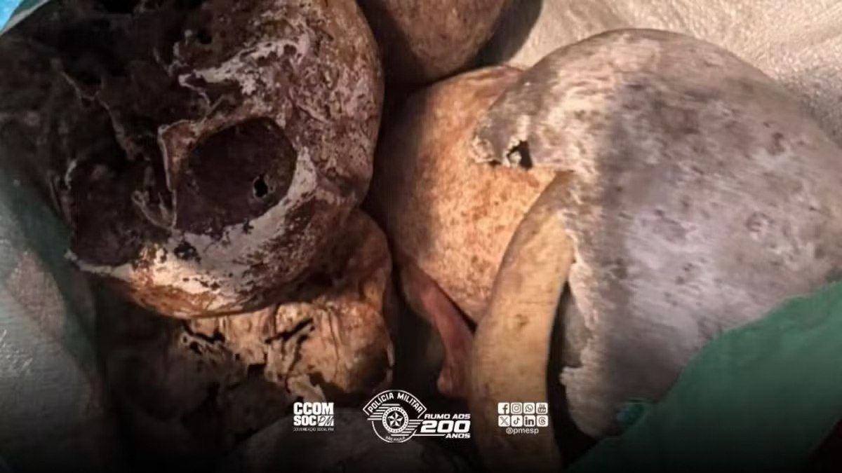 Polícia descobre 12 crânios em apartamento nos Jardins
