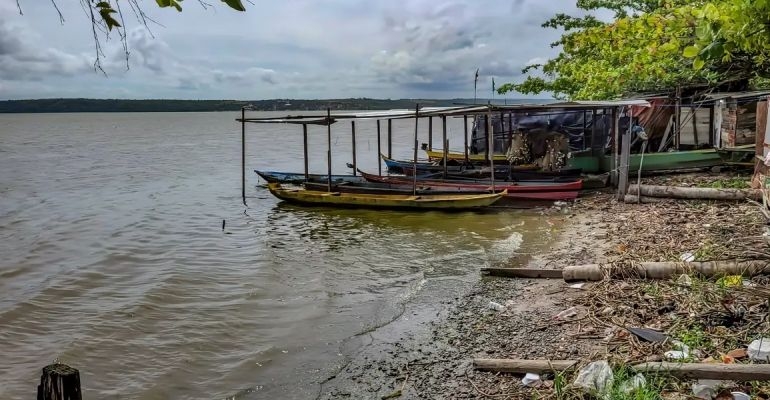 Pescadores denunciam mortandade de peixes na Mundaú