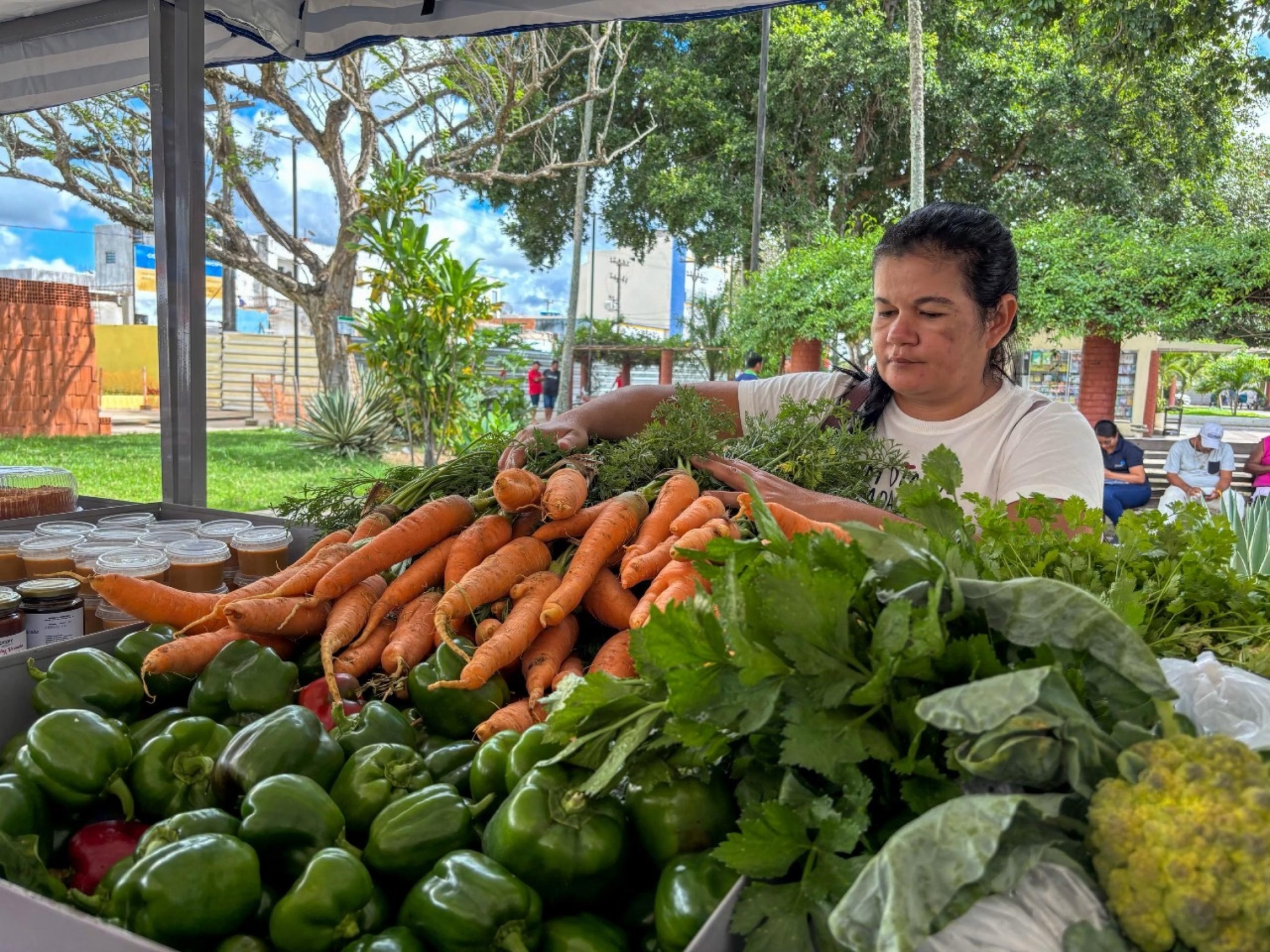 Penedo recebe a feira da agricultura familiar em junho