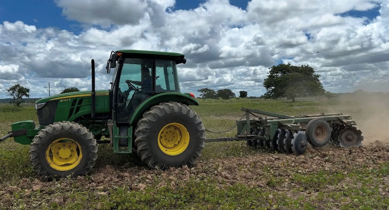 Penedo colherá 120 toneladas de feijão com parcerias