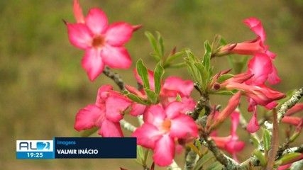 Cúpula do Brics: quem ficou de fora da foto?