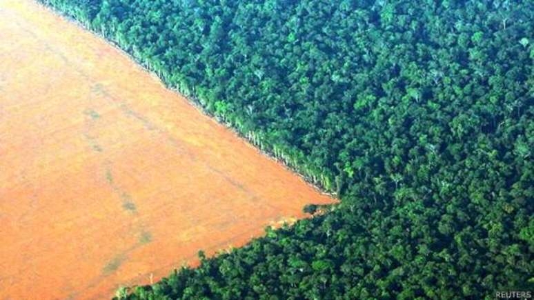 Falta proteção a áreas com plantas usadas pelo homem, diz estudo