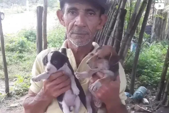 VÍDEOS: homem pobre que cria cerca de 50 animais abandonados, critica falta de apoio de seu prefeito e pede ajuda ao povo