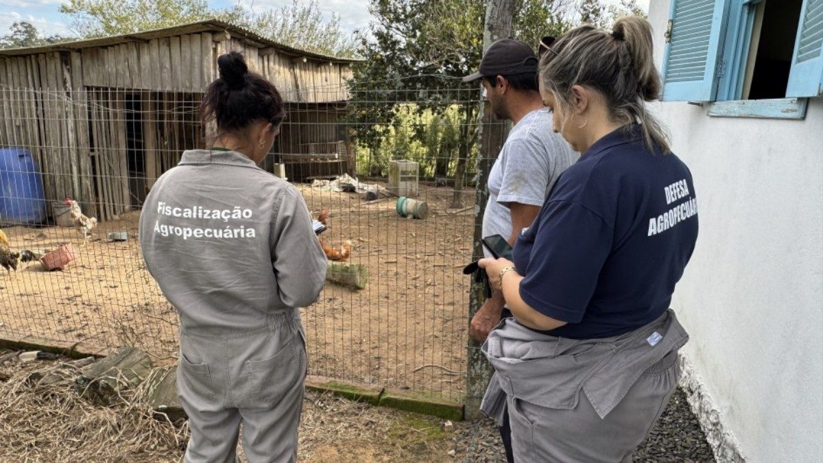 Governo do RS vistoria propriedades em surto de gripe aviária