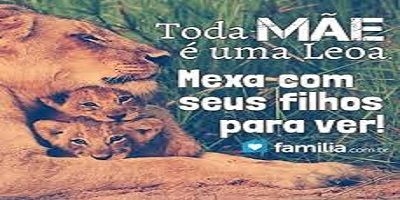 Quando a inteligência é superior aos adversários a vida segue