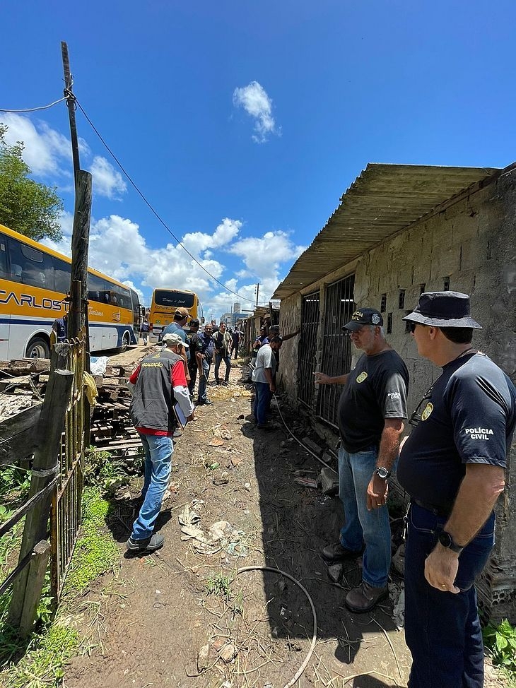 Porcos e cavalos são encontrados em barracos em condições insalubres, no bairro Santa Amélia