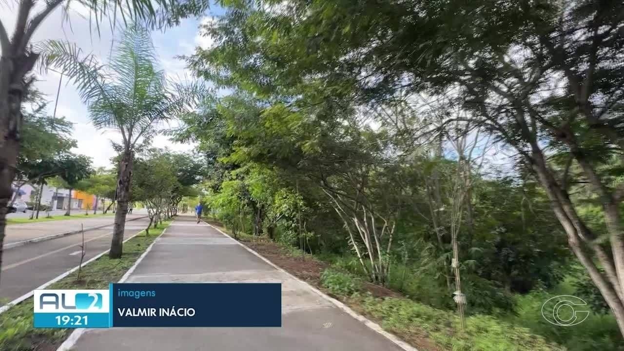 Arapiraca enfrenta alerta por jacarés e jiboias urbanos